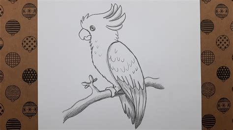 Karakalem Kuş Çizimi Kolay Papagan Resmi Nasıl Çizilir Çizim Hobimiz