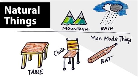 Draw Examples For Natural Things And Man Made Things Ncert Cbse Icse