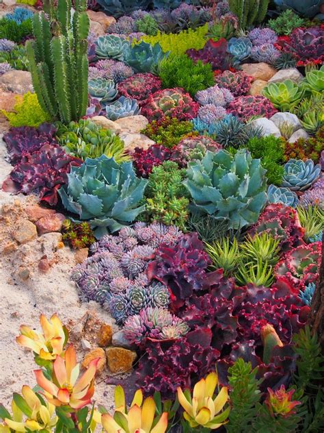 40 Amazing Succulents Garden Decor Ideas For 2019succulent Diy