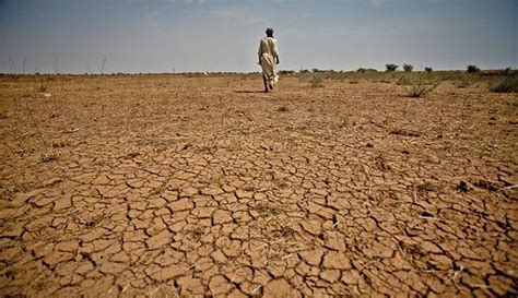 Ethiopia Rejects Western Reports That El Nino Induced Drought Will