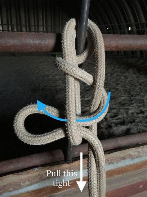 Knots For Tying Horses Lashes Knots Rope Knots Tie Knots