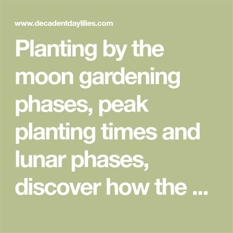 Planting By The Moon Gardening Phases Peak Planting Times And Lunar
