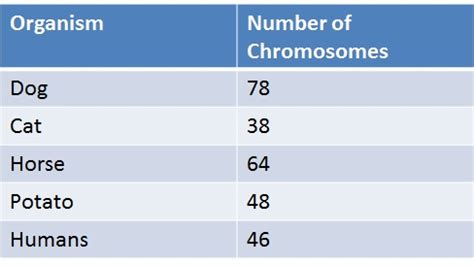 There are 4 chromosomes in its haploid gametes. Cell Growth And Division (Mitosis) - ProProfs Quiz