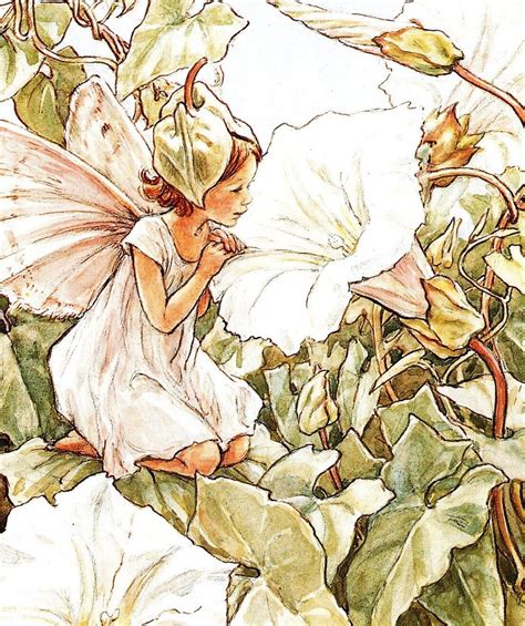 1997 Flower Fairies Of Wayside Original Vintage 2 Sided Print Cicely M