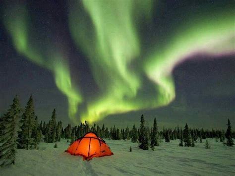 Canada See The Northern Lights Northern Lights Boreal Forest