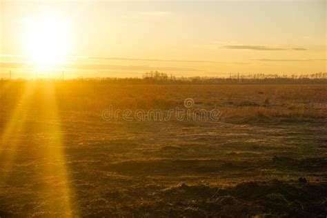 Sunset On A Warm Evening In The Field Summer Landscape Stock Image