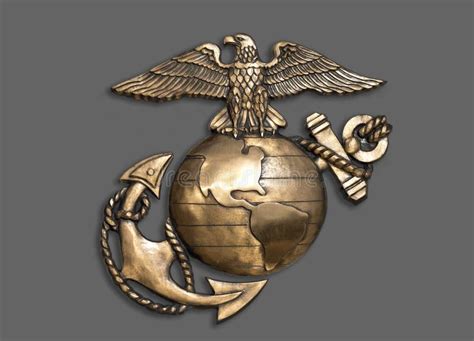 Marine Eagle Globe And Anchor Stock Photo Image Of Corps Medal