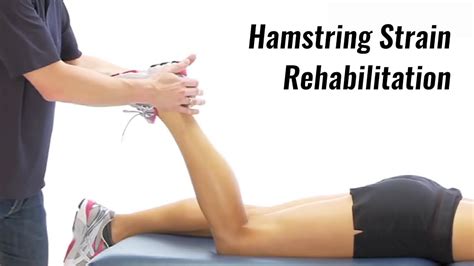 😍 Hamstring Rehabilitation Program Hamstring Strain Rehabilitation