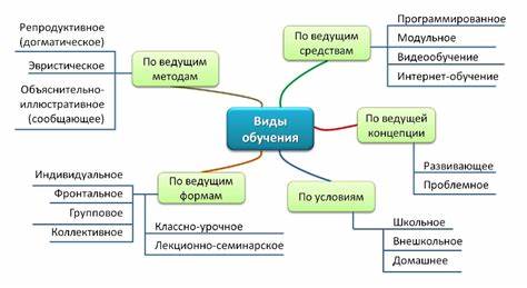 Виды диет в столовых