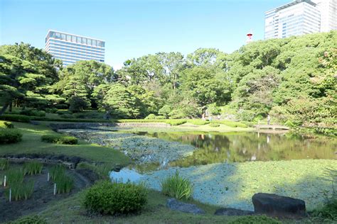 The East Gardens Of The Imperial Palace（spot）chiyoda Tourism Association