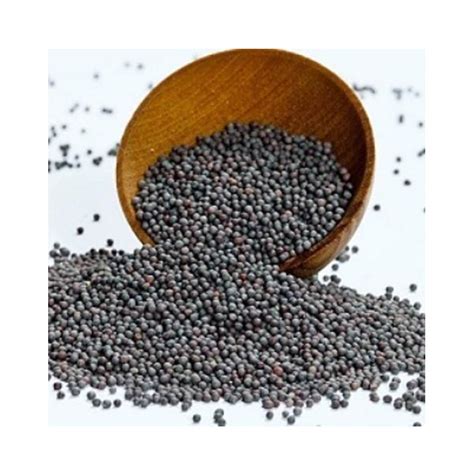 Chefs Choice Jual Black Mustard Seeds Biji Mustard Hitam 250 Gram