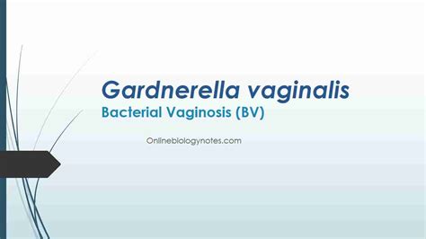 Gardnerella Symptoms And Testing Ruclear