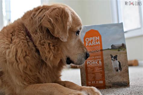 Open Farm Dog Food Review Sustainable And Ethically Sourced