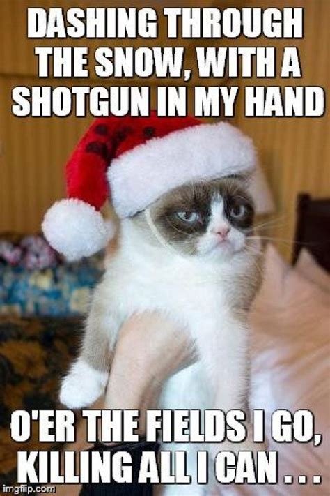 El Kittcho With Images Grumpy Cat Christmas Grumpy Cat Humor