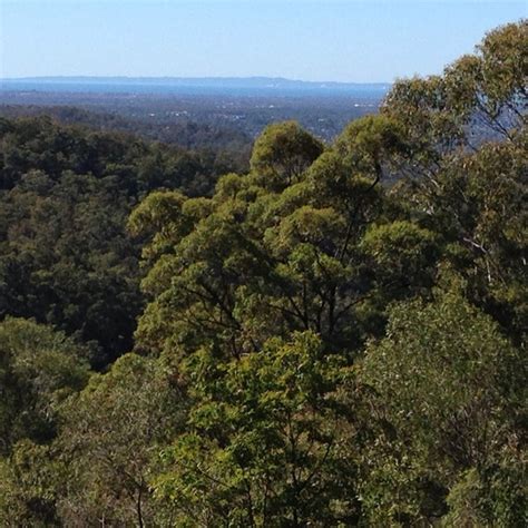 A 3km walk from the park entrance. McAfee's Lookout - Mt Nebo, QLD