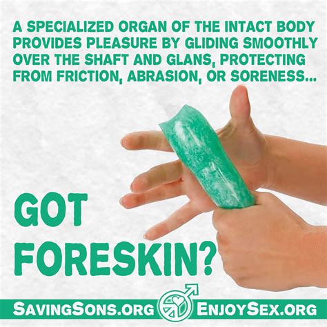 saving our sons foreskin and its 16 functions not just skin