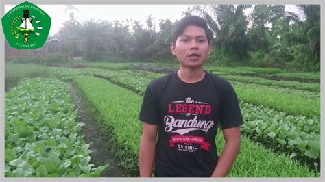 Tanah gambut bukanlah lahan subur untuk menanam tanaman. PENGELOLAAN TANAH AREAL GAMBUT #ARZE FAPERTA AGRO UNILAK ...