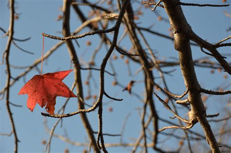 The Inspired Funeral