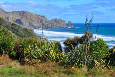 Coastal Cliffs And Vegetation Bethells Beach New Zealand Stock Image