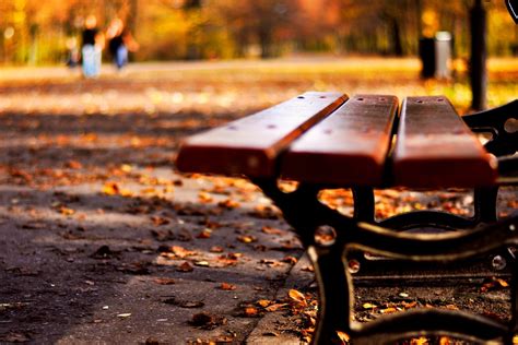 Download hd wallpapers 1080p from wallpaperfx, download full high definition wallpapers at 1920x1080 size. close up mood bench shop leaves leaf autumn yellow leaves ...