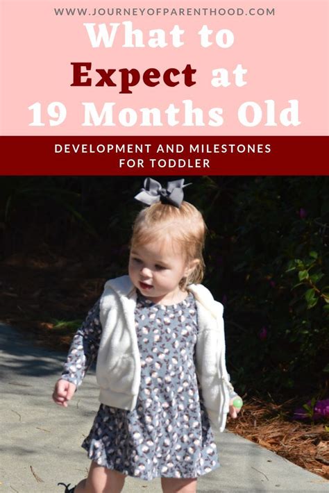 What To Expect At 19 Months Old Know The Milestones And Development