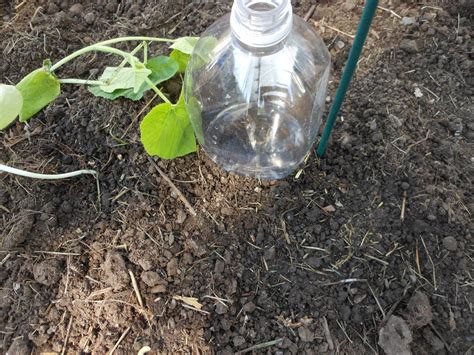 Diy Drip Irrigation Bottles 8 Steps Instructables