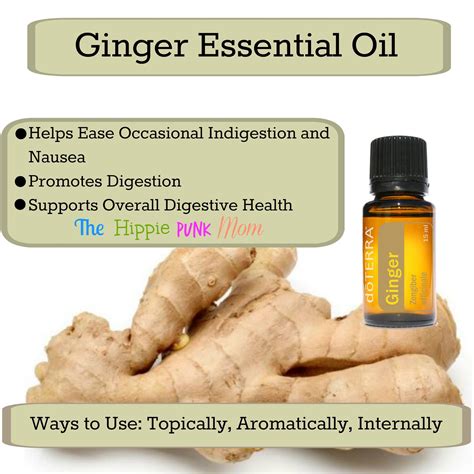Ginger Essential Oil And Uses Ginger Essential Oil Essential Oils