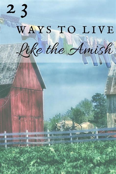 23 Ways To Live The Amish Lifestyle One Ash Homestead Amish