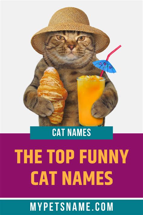 Top Funny Cat Names Funny Cat Names Cat Names Badass Cat Names