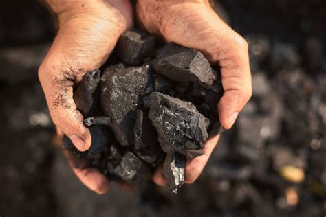 Best Peat Coal Stock Photos Pictures And Royalty Free Images Istock