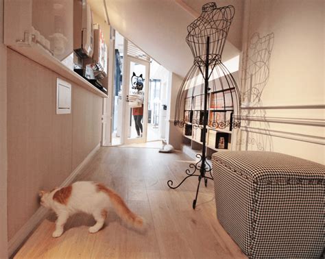 Steadily rising through the ranks as one of the most popular attractions to visit during a trip to japan has to be the local cat cafes! MoCHA : Juste un Cat Cafe Hyper Design à Tokyo - YZGeneration