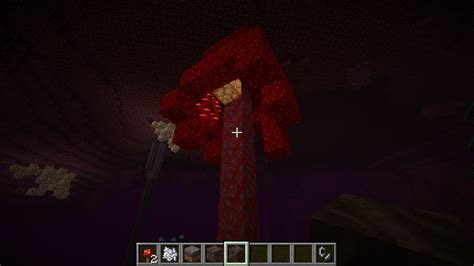 Before creating a nether wart farm, it is important to prepare in advance. First snapshot for 1.16 | Empire Minecraft