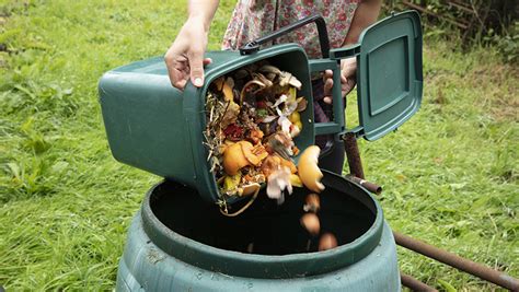 How To Compost At Home—a Beginners Guide Vsecu