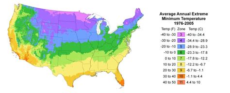 What Are The Usda Hardiness Zones Great Garden Plants Blog