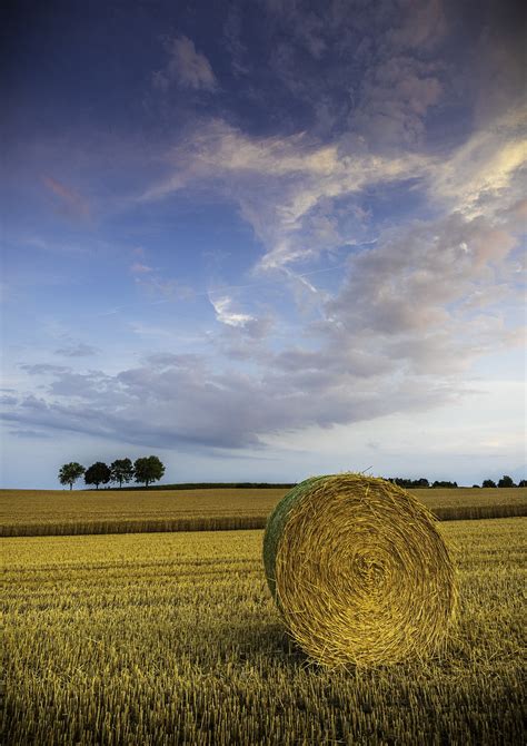 Hay Bale Harvest Agriculture Free Photo On Pixabay Pixabay