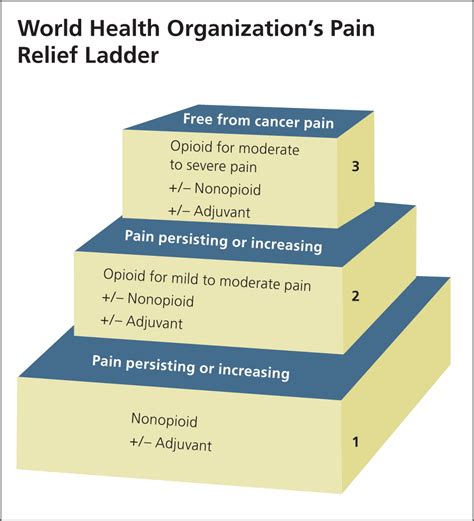 The World Health Organizations Whos Pain Relief Grepmed