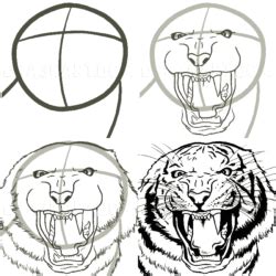 How To Draw A Realistic Tiger Head Step By Step Part
