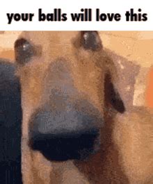 Your Balls Will Love This Balls GIF Your Balls Will Love This Balls Yours Discover Share GIFs