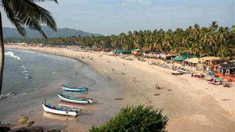 Majorda Beach Goa Majorda Beach Tour And Travel Guide Goa Tourism