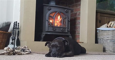 Here are the dog food advisor's top 20 best dry dog food brands for the current month. Trusty Dog Food - High Quality UK Dog Food Online - Love ...