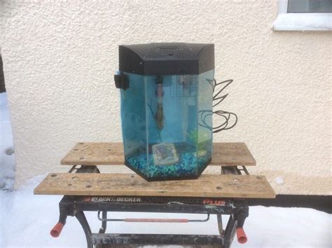 Hexagonal Complete Tropical Aquarium Fish Tank Set Up In Westcliff On