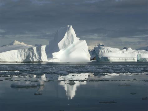 Antarctic Peninsula Is In Hot Water 3 Of 5 Eurekalert