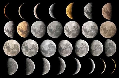 Free Moon Phases Cliparts, Download Free Moon Phases Cliparts png