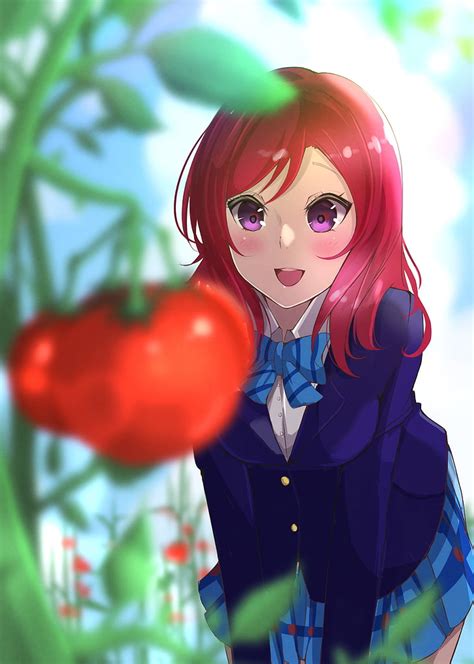 Hd Wallpaper Nishikino Maki Love Live Redhead Tomato Anime One