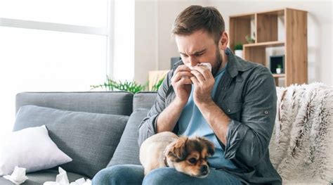 🐶Можно ли заводить собаку с аллергией? Как распознать аллергию, причины ...