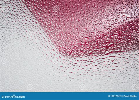 Drops Stock Photo Image Of Glass Texture Moisture 12017542