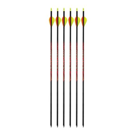 Black Eagle Outlaw 400 Spine Fletched Arrows 005” 6 Pack Out 005