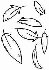 Coloring Feathers sketch template