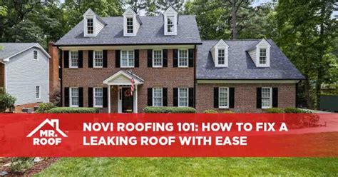 Novi Roofing 101 How To Fix A Leaking Roof With Ease Mr Roof