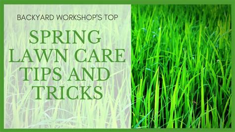 Spring Lawn Care Tips And Tricks